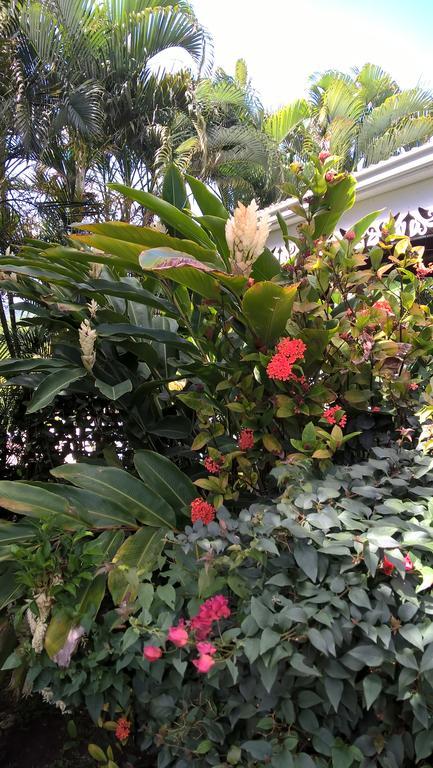 Villa Cap Martinique Sainte-Anne Esterno foto