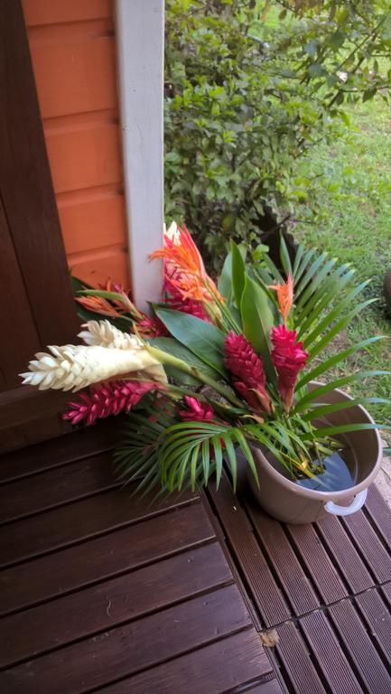Villa Cap Martinique Sainte-Anne Esterno foto